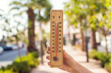 Opération Canicule